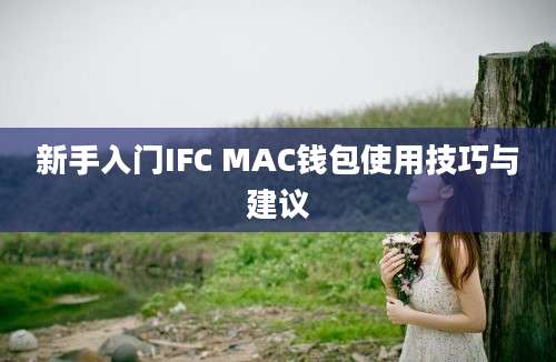 新手入门IFC MAC钱包使用技巧与建议