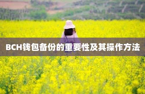 BCH钱包备份的重要性及其操作方法