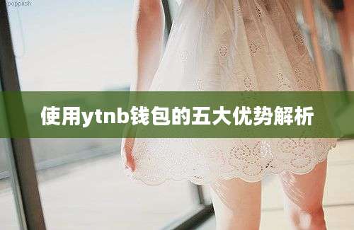 使用ytnb钱包的五大优势解析