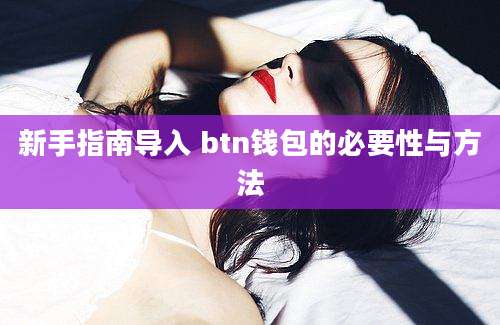 新手指南导入 btn钱包的必要性与方法