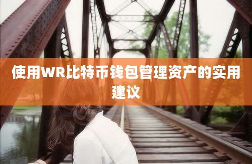 使用WR比特币钱包管理资产的实用建议