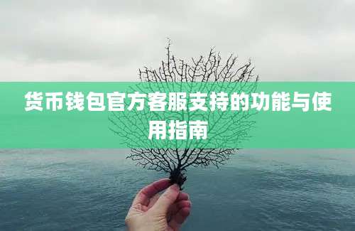 货币钱包官方客服支持的功能与使用指南