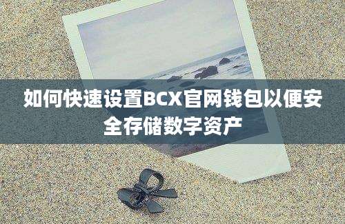 如何快速设置BCX官网钱包以便安全存储数字资产