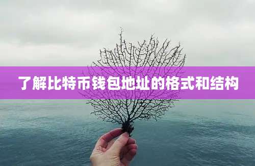 了解比特币钱包地址的格式和结构