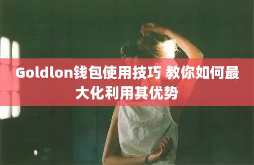 Goldlon钱包使用技巧 教你如何最大化利用其优势