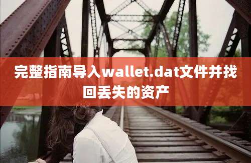 完整指南导入wallet.dat文件并找回丢失的资产