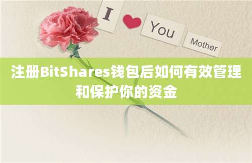 注册BitShares钱包后如何有效管理和保护你的资金