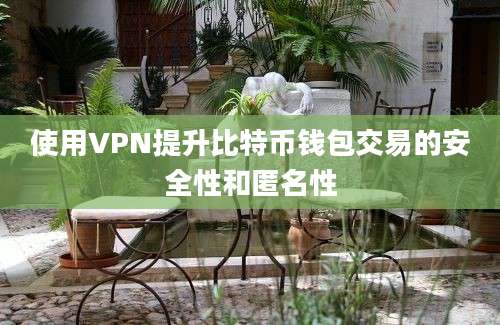 使用VPN提升比特币钱包交易的安全性和匿名性