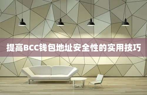 提高BCC钱包地址安全性的实用技巧