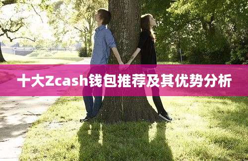 十大Zcash钱包推荐及其优势分析