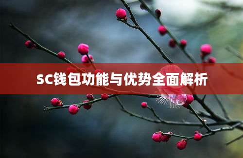 SC钱包功能与优势全面解析