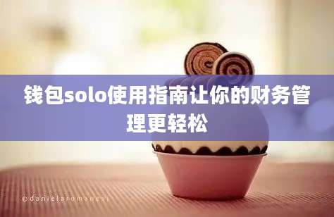 钱包solo使用指南让你的财务管理更轻松