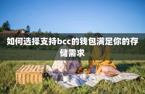 如何选择支持bcc的钱包满足你的存储需求