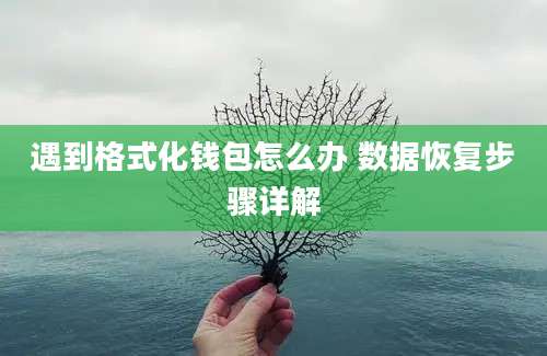 遇到格式化钱包怎么办 数据恢复步骤详解