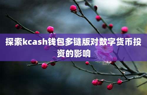 探索kcash钱包多链版对数字货币投资的影响