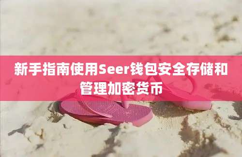 新手指南使用Seer钱包安全存储和管理加密货币