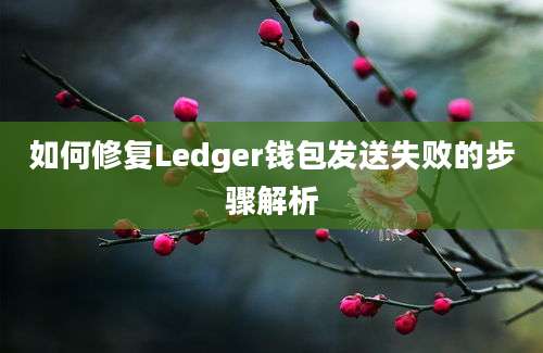 如何修复Ledger钱包发送失败的步骤解析