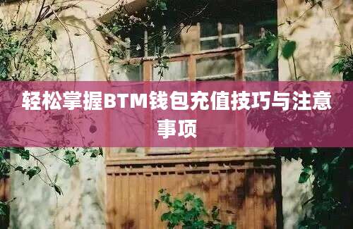 轻松掌握BTM钱包充值技巧与注意事项