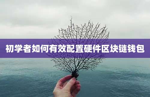 初学者如何有效配置硬件区块链钱包