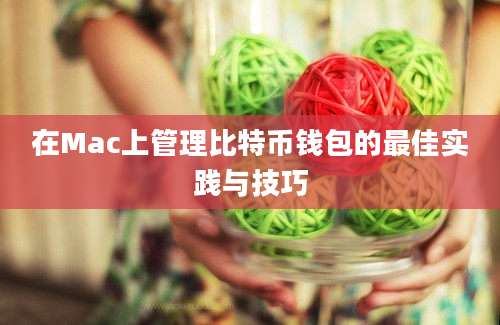 在Mac上管理比特币钱包的最佳实践与技巧