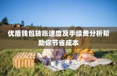 优盾钱包转账速度及手续费分析帮助你节省成本