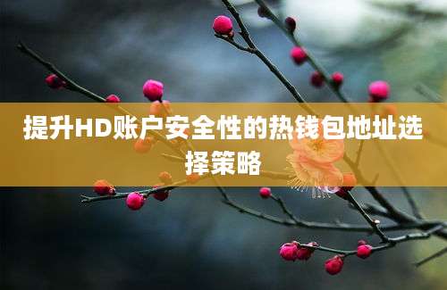 提升HD账户安全性的热钱包地址选择策略