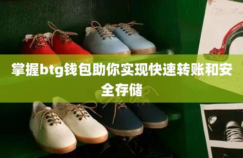 掌握btg钱包助你实现快速转账和安全存储