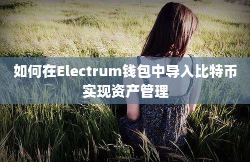 如何在Electrum钱包中导入比特币实现资产管理