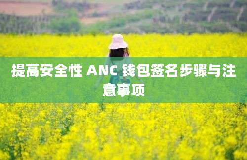 提高安全性 ANC 钱包签名步骤与注意事项