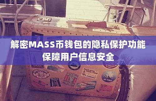 解密MASS币钱包的隐私保护功能保障用户信息安全