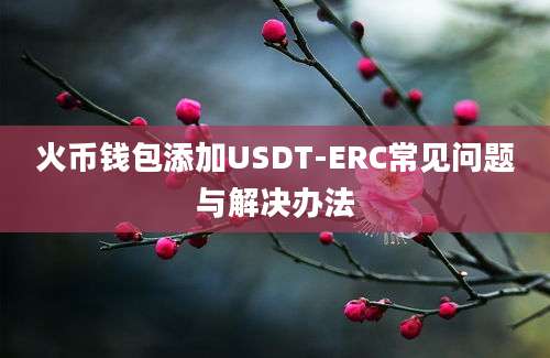 火币钱包添加USDT-ERC常见问题与解决办法