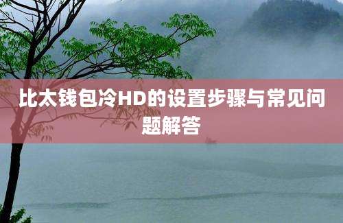 比太钱包冷HD的设置步骤与常见问题解答