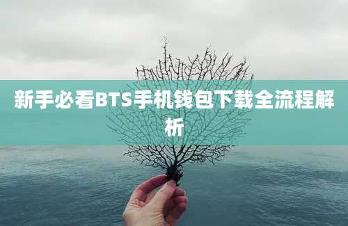 新手必看BTS手机钱包下载全流程解析