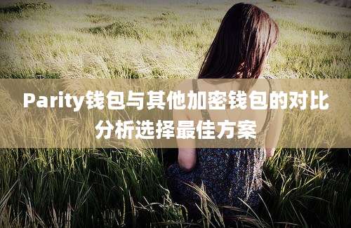 Parity钱包与其他加密钱包的对比分析选择最佳方案