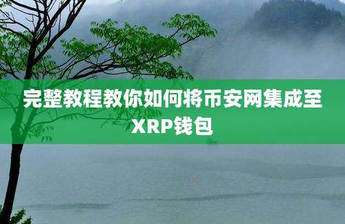 完整教程教你如何将币安网集成至XRP钱包