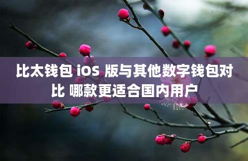 比太钱包 iOS 版与其他数字钱包对比 哪款更适合国内用户