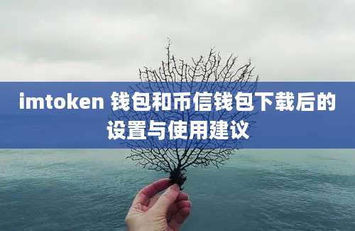 imtoken 钱包和币信钱包下载后的设置与使用建议