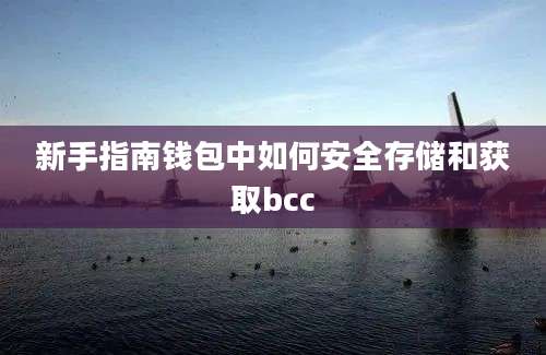 新手指南钱包中如何安全存储和获取bcc