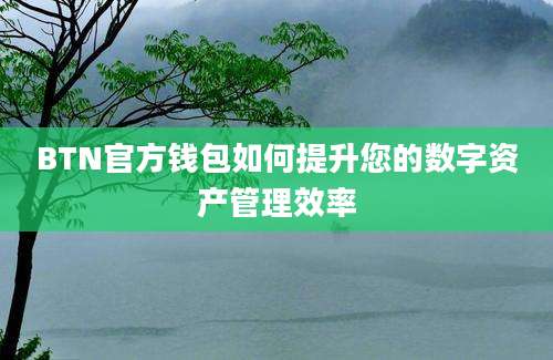 BTN官方钱包如何提升您的数字资产管理效率