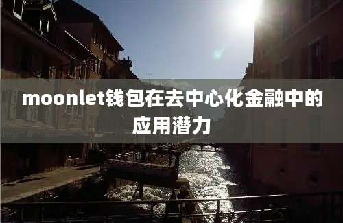 moonlet钱包在去中心化金融中的应用潜力