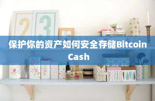 保护你的资产如何安全存储Bitcoin Cash