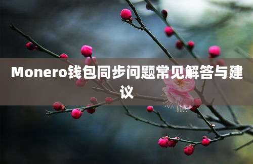 Monero钱包同步问题常见解答与建议