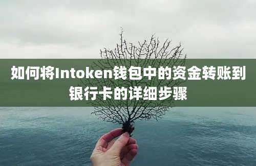 如何将Intoken钱包中的资金转账到银行卡的详细步骤