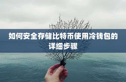 如何安全存储比特币使用冷钱包的详细步骤