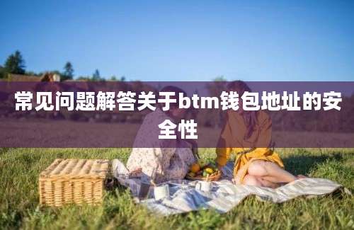 常见问题解答关于btm钱包地址的安全性