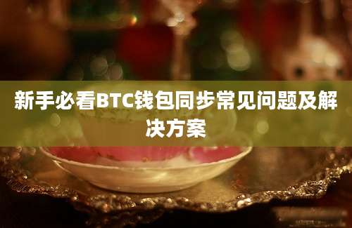 新手必看BTC钱包同步常见问题及解决方案