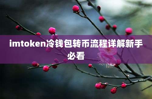 imtoken冷钱包转币流程详解新手必看