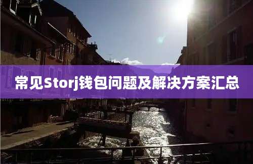 常见Storj钱包问题及解决方案汇总