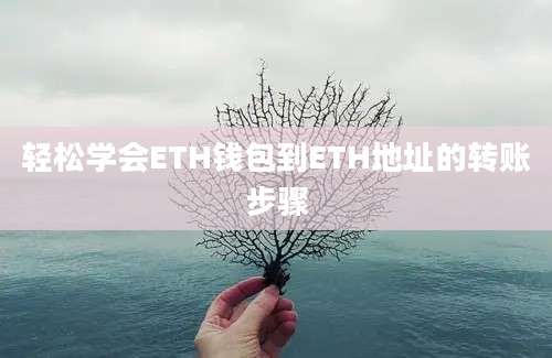 轻松学会ETH钱包到ETH地址的转账步骤