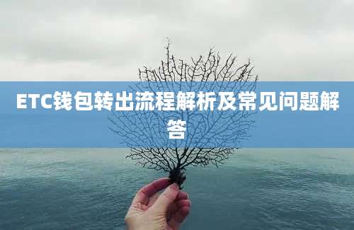 ETC钱包转出流程解析及常见问题解答